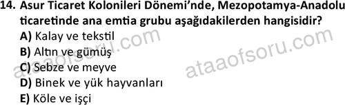 ata tarih 2469 14