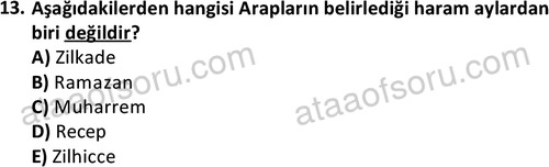 ata tarih 2467 13
