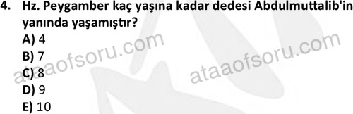 ata tarih 2467 4