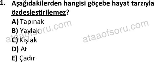 ata tarih 2468 1