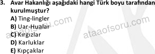 ata tarih 2468 3
