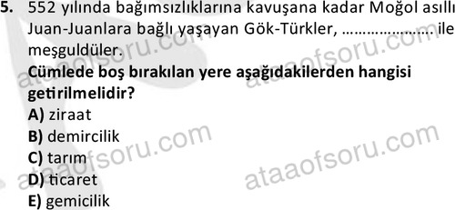 ata tarih 2468 5