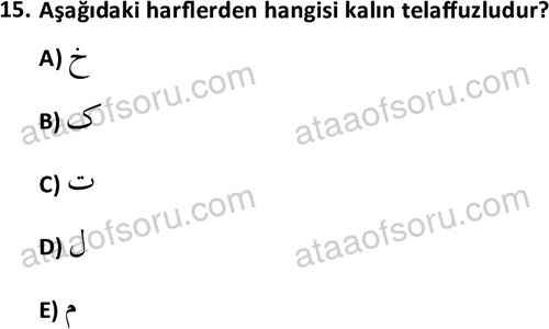 ata tarih 2470 15