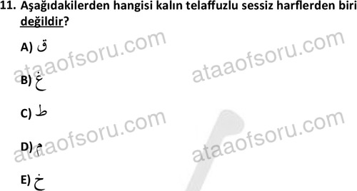 ata tarih 2470 11