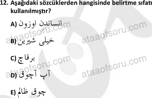 ata tarih 2470 12