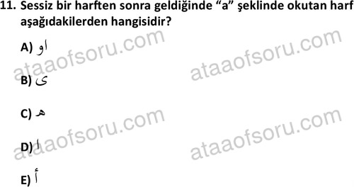 ata tarih 2470 11
