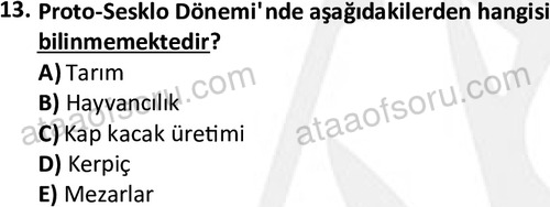 ata tarih 2482 13