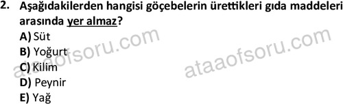 ata tarih 2491 2