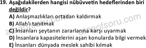 ata tarih 2499 19