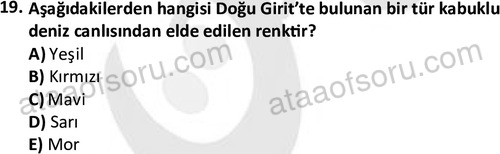 ata tekstilvemodatasarim 2514 19