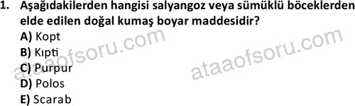 ata tekstilvemodatasarim 2514 1