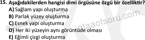 ata tekstilvemodatasarim 2513 15