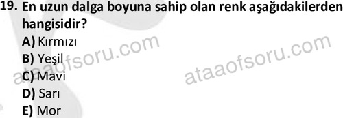 ata tekstilvemodatasarim 2513 19