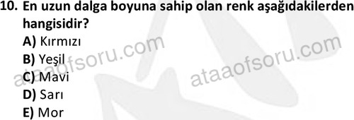 ata tekstilvemodatasarim 2513 10