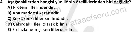ata tekstilvemodatasarim 2513 4