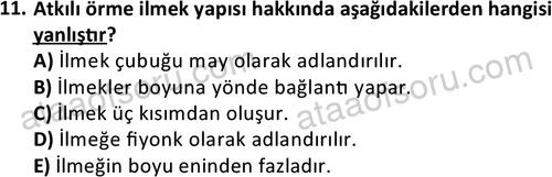 ata tekstilvemodatasarim 2513 11