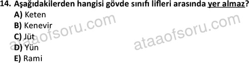 ata tekstilvemodatasarim 2513 14