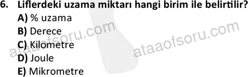 ata tekstilvemodatasarim 2513 6