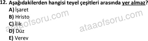 ata tekstilvemodatasarim 2525 12