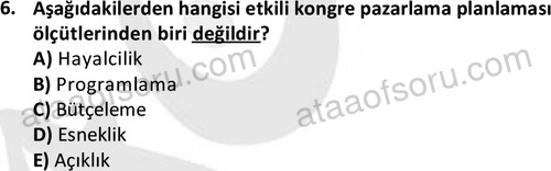 ata turizmveseyahat 2615 6