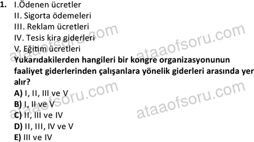 ata turizmveseyahat 2615 1