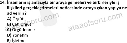 ata turizmveseyahat 2615 14