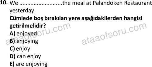 ata turizmveseyahat 2618 10
