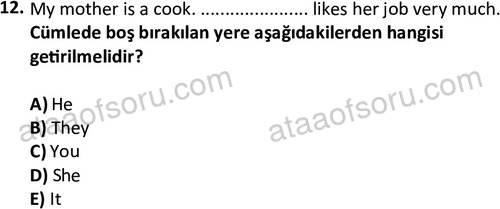 ata turizmveseyahat 2618 12