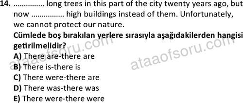 ata turizmveseyahat 2618 14