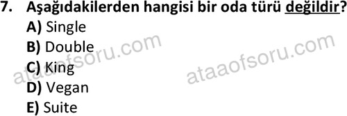 ata turizmveseyahat 2618 7