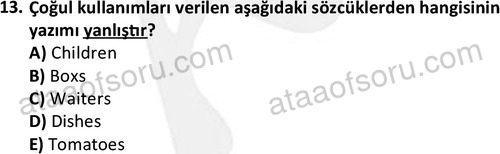 ata turizmveseyahat 2618 13