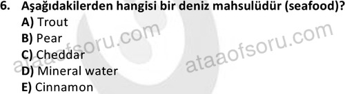 ata turizmveseyahat 2618 6