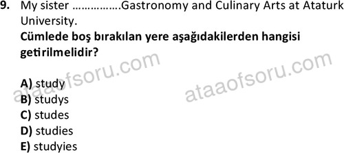 ata turizmveseyahat 2618 9