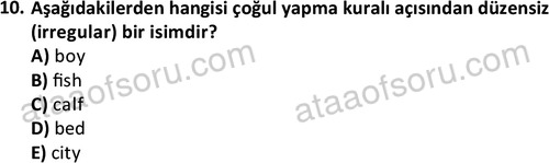 ata turizmveseyahat 2618 10