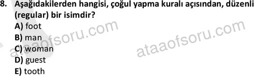 ata turizmveseyahat 2618 8