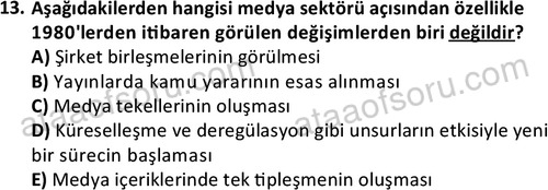 ata yenimedyavegazetecilik 2634 13