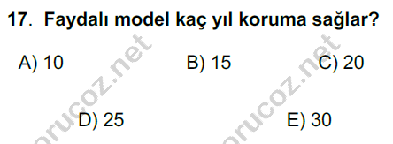 4 egitim 17 17