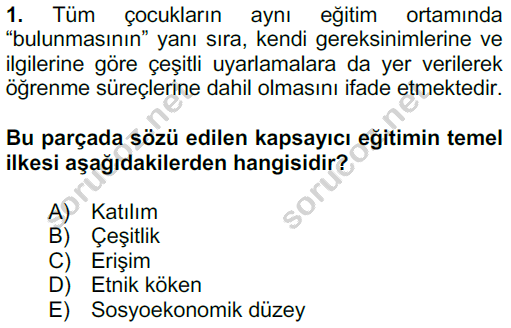 5 egitimde 16 1