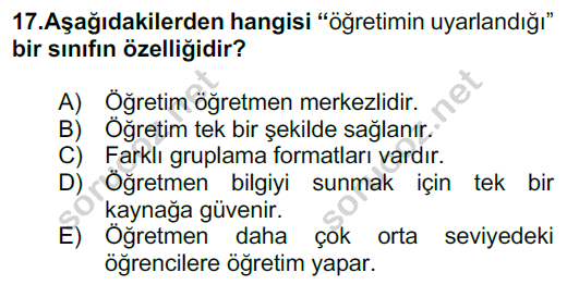 5 egitimde 16 17