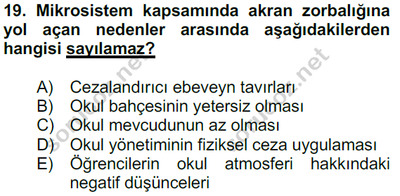7 sosyal 12 19