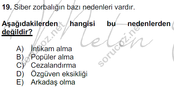 9 guvenli 10 19
